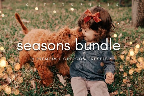 Download SEASONS BUNDLE Lightroom Presets - Presets Collection
