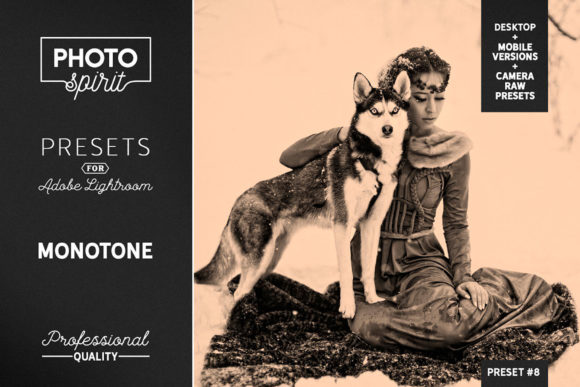 Download Monotone LR Presets Mobile + Desktop - Presets Collection
