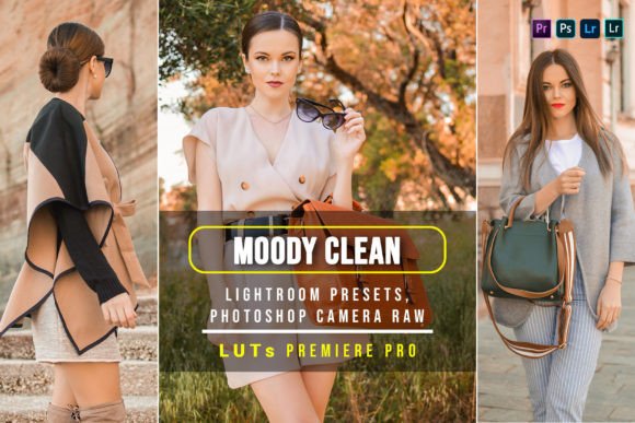 Download 10 Moody Clean Presets and Luts - Presets Collection