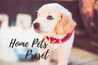 Download Lightroom Presets - Home Pets - Presets Collection