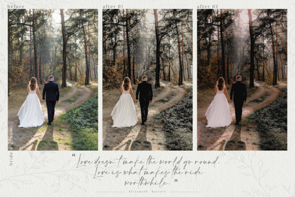 Download 10 Rustic Wedding LR Presets - Presets Collection