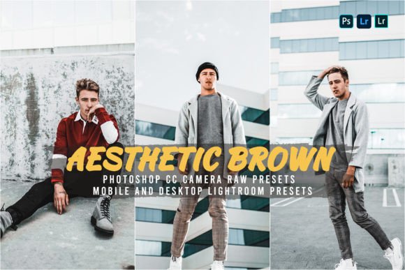 Download 15 Aesthetic Brown Presets - Presets Collection