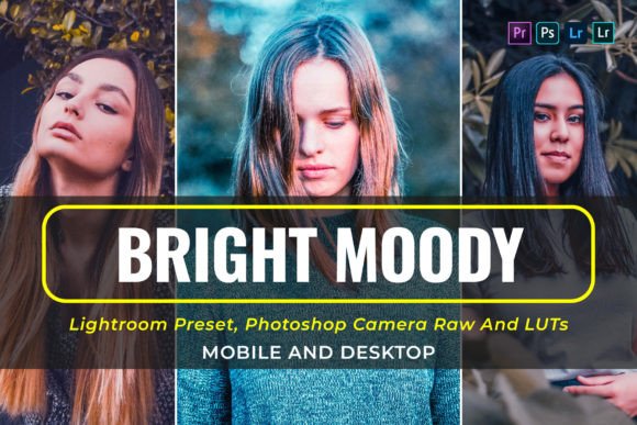 Download 10 Bright Moody Presets and Luts - Bright Collection