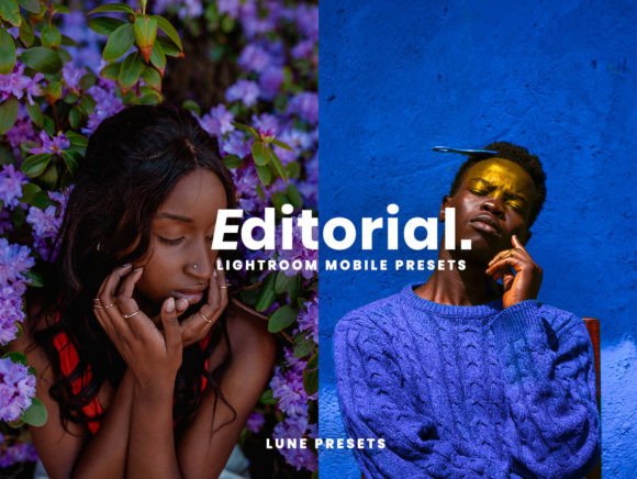 Download Editorial Lightroom Presets - Presets Collection
